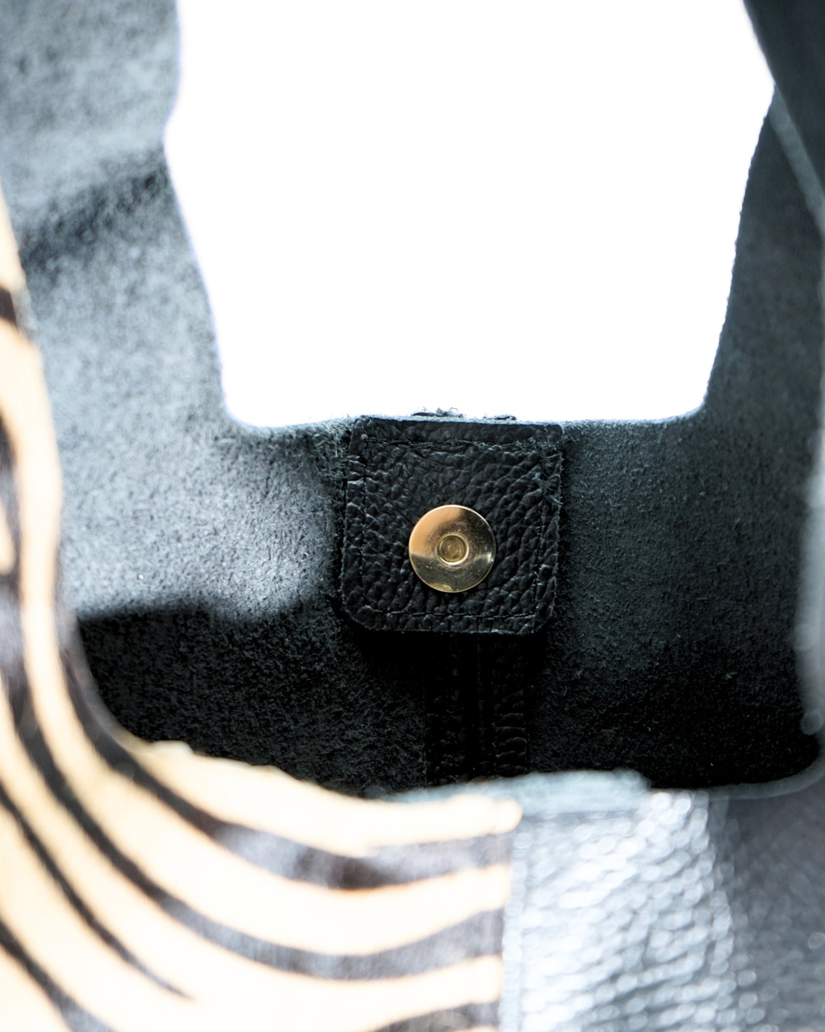 COACHELLA WINTER LUX | ZEBRA